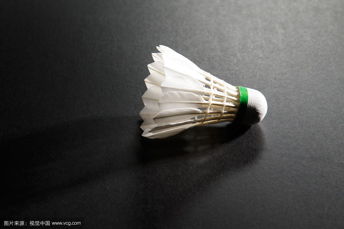 造以及培训 造以及培训