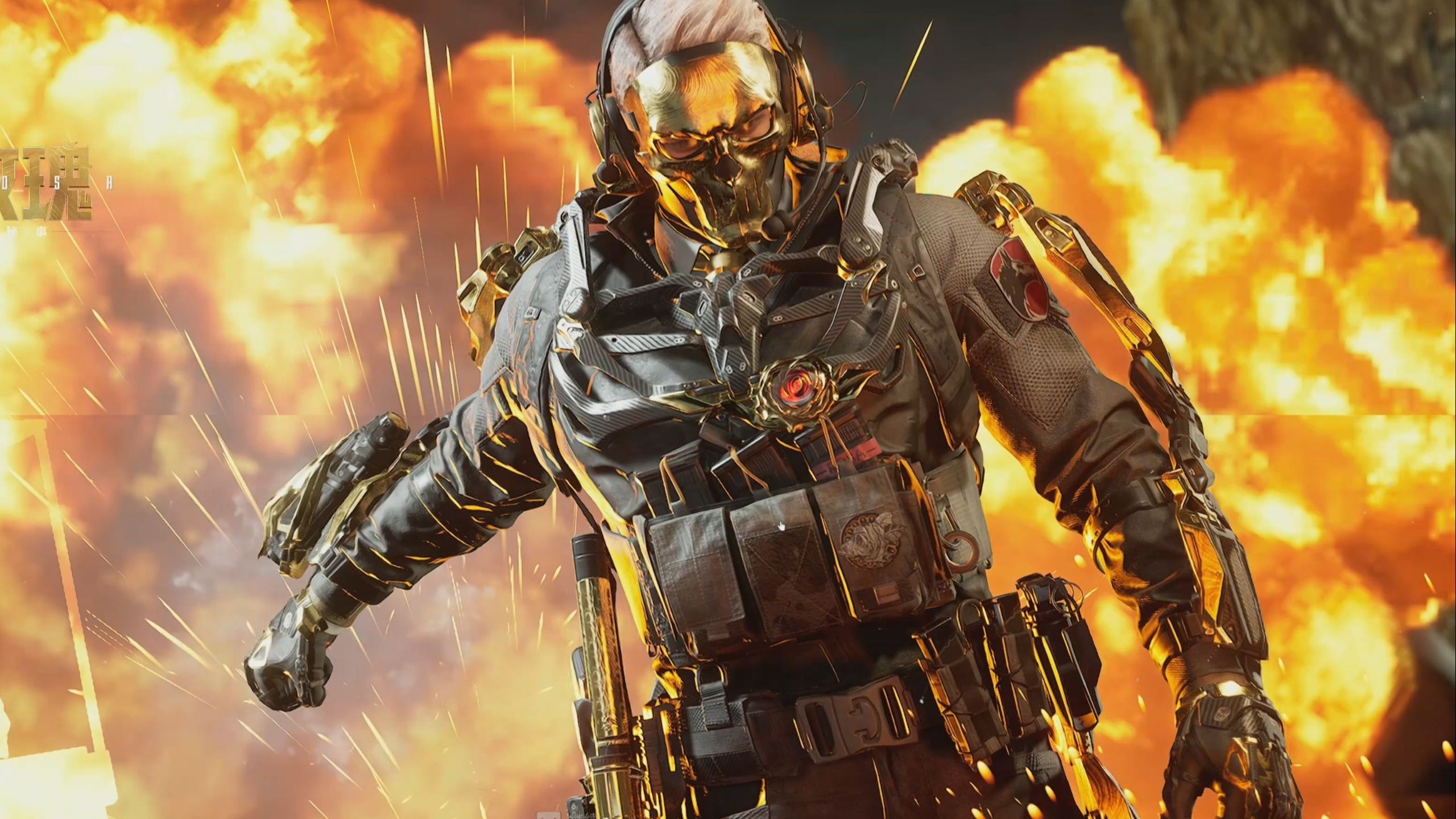 职业体育的 职业体育的